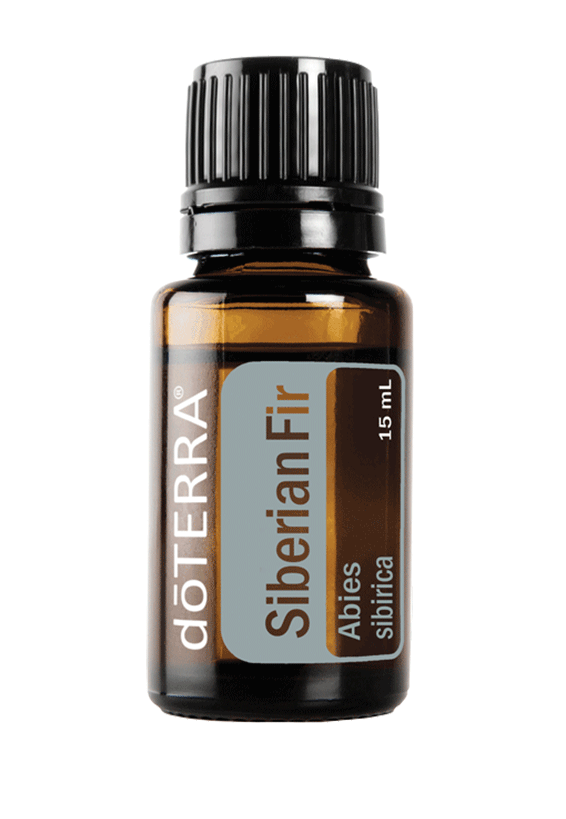 Siberian Fir 15 mL doTerra