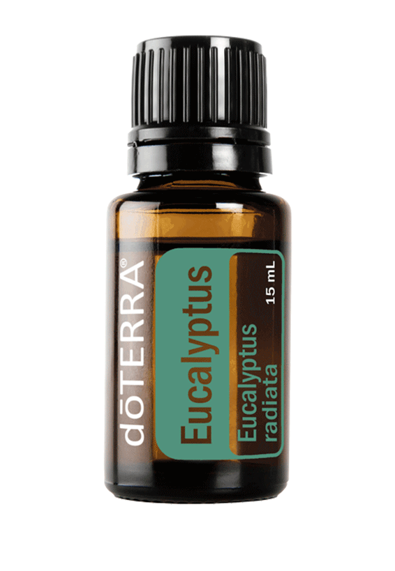 Eucalyptus 15 mL doTerra