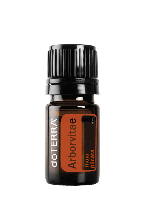 Arborvitae 5 mL doTerra