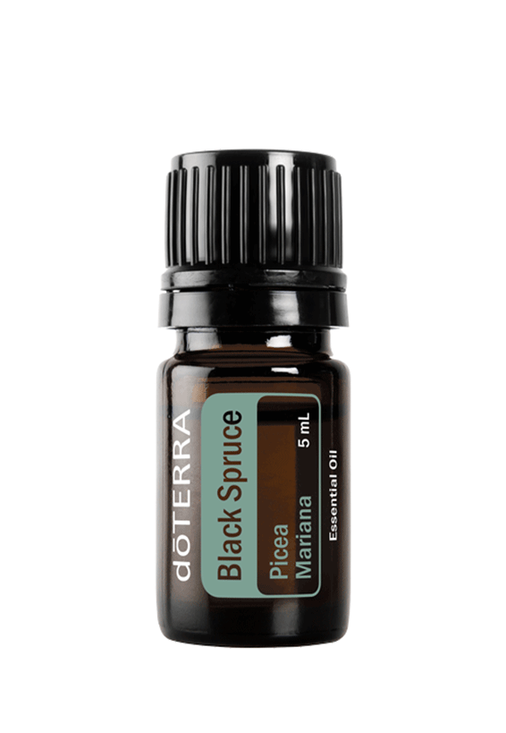 Black Spruce 5 mL doTerra
