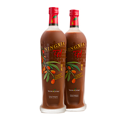 YL Ningxia Red - 2 pk (750ml)