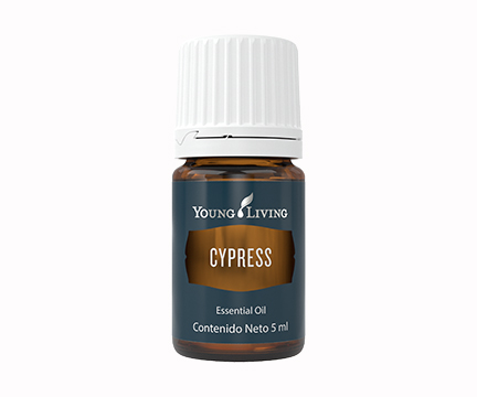 YL Cypress Essential Oil - 5 ml