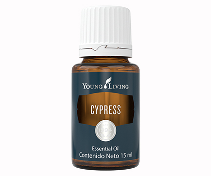 YL Cypress Essential Oil - 15 ml