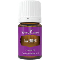 YL Lavender Essential Oil - 5 ml