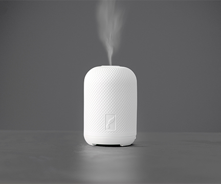 Haven Ceramic Diffuser white