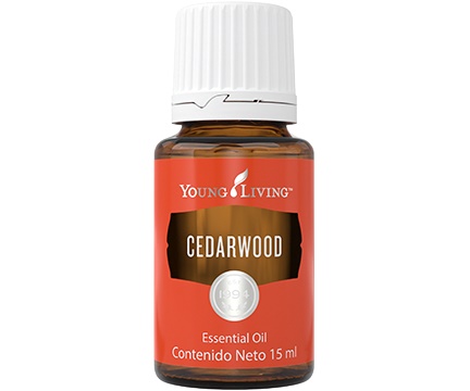 YL Cedarwood Essential Oil - 15 ml