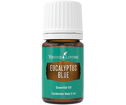 YL Eucalyptus Blue Essential Oil - 5 ml