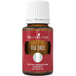 YL Tea Tree (Melaleuca Alternifolia) Essential Oil - 15 ml