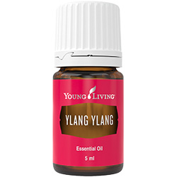 YL Ylang Ylang Essential Oil - 5 ml