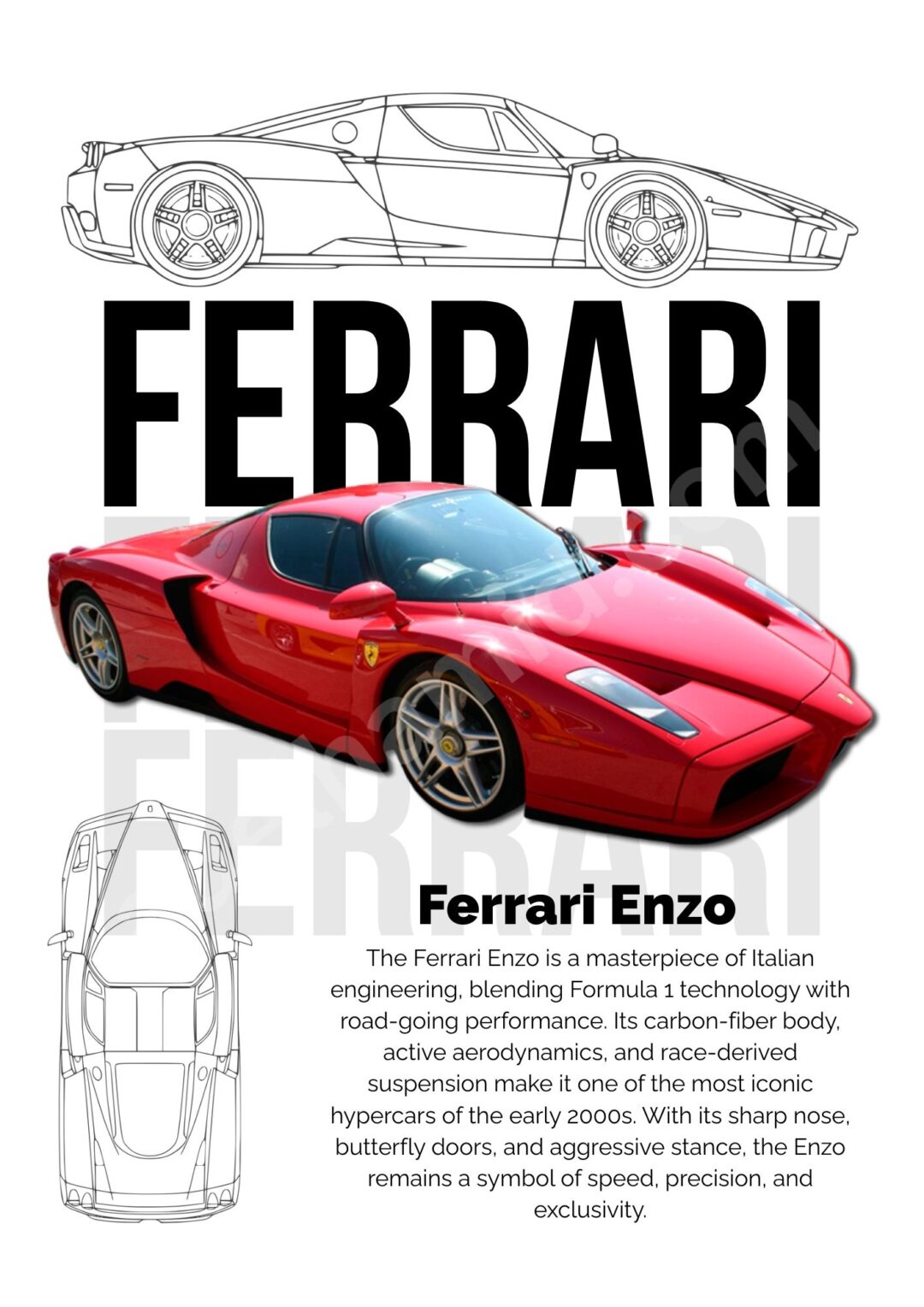 Ferrari Enzo Blueprint